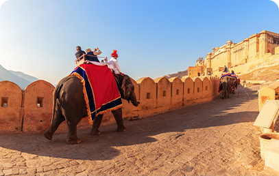 amber-fort-panorama-tourists-elephants-jaipur-india